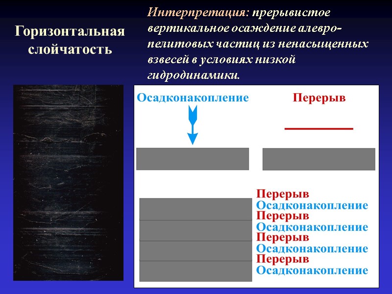 Горизонтальная слойчатость Интерпретация: прерывистое вертикальное осаждение алевро-пелитовых частиц из ненасыщенных взвесей в условиях низкой
